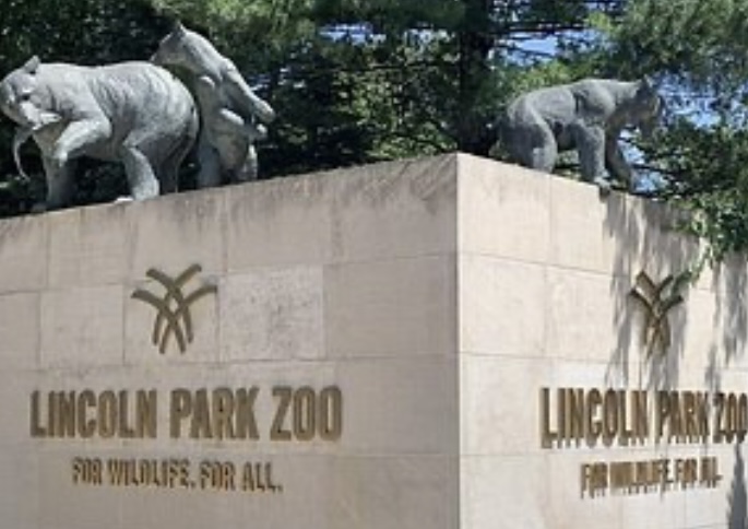 アメリカの観光スポットおすすめ5位：リンカーンパーク動物公園