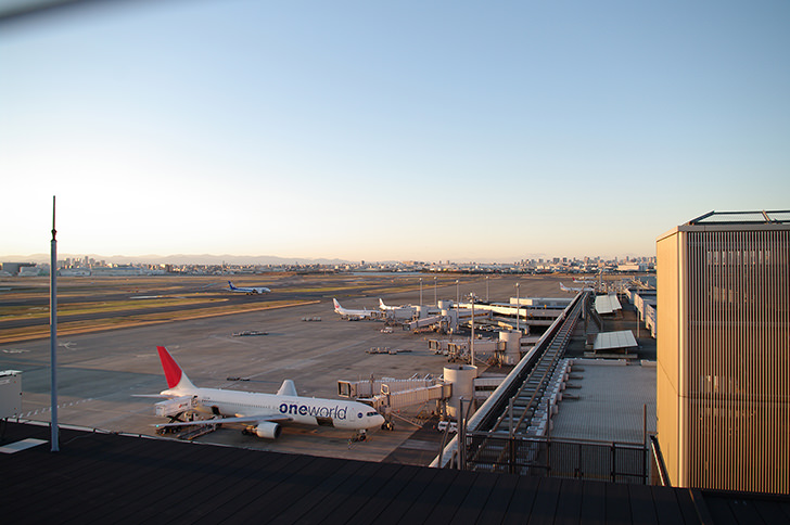 羽田空港でWi-Fiを受け取りネットを使用する人が撮影した画像